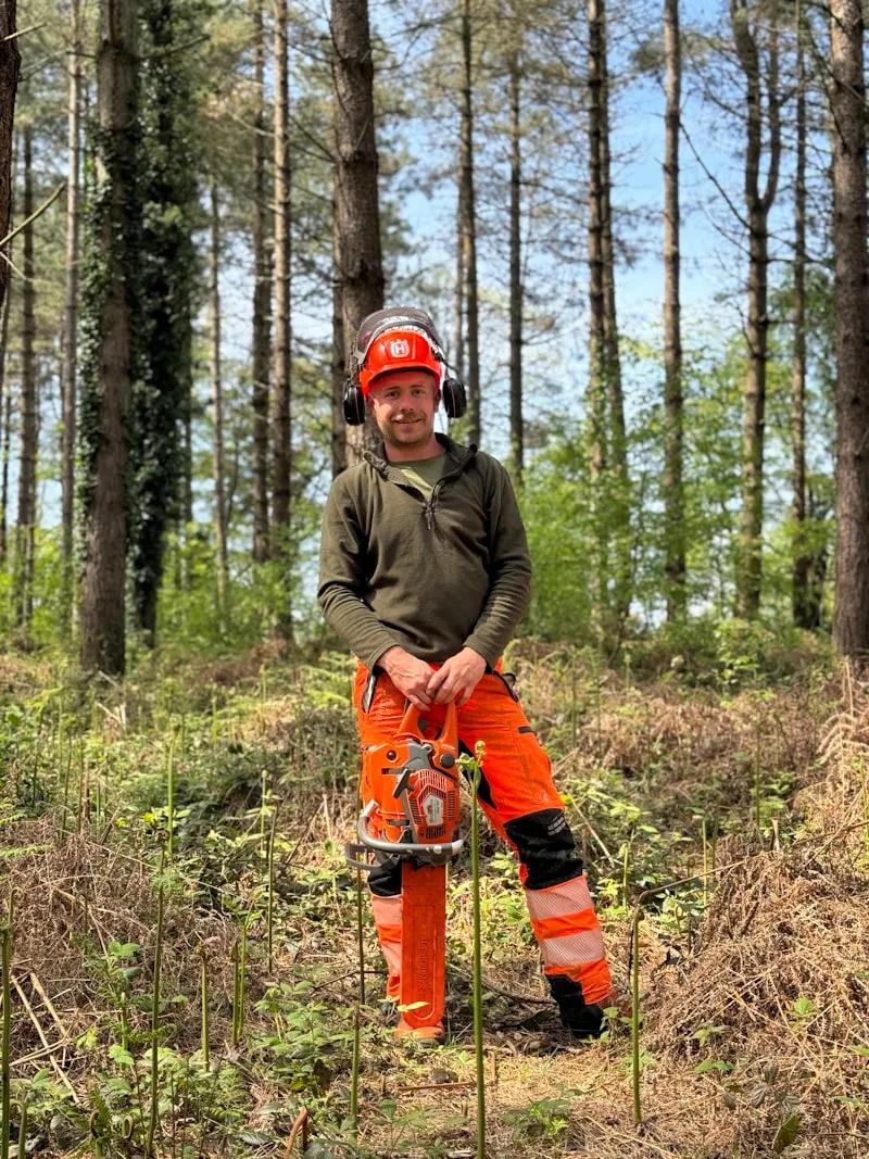 Abattage d'un sapin avec nacelle