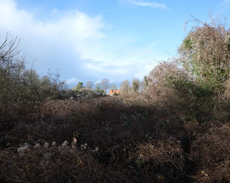 Débroussaillage d'un terrain à Montargis